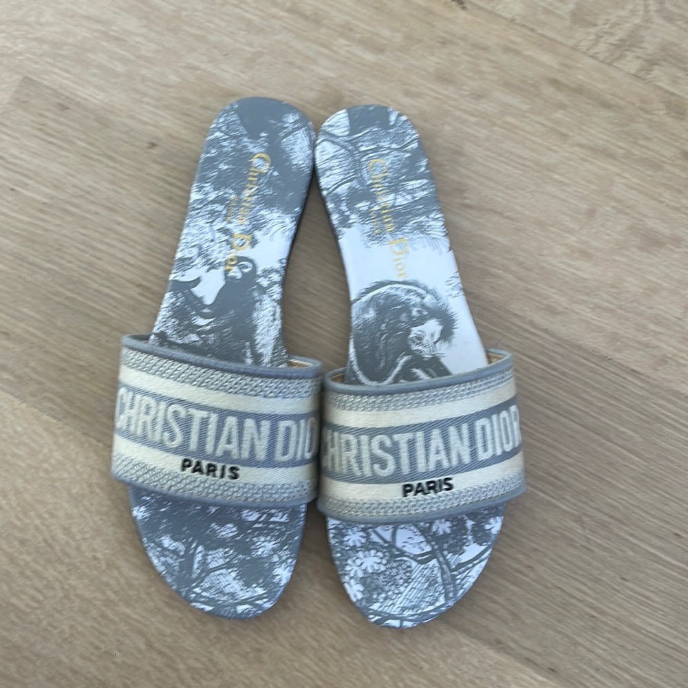 Christian Dior Dway Slide